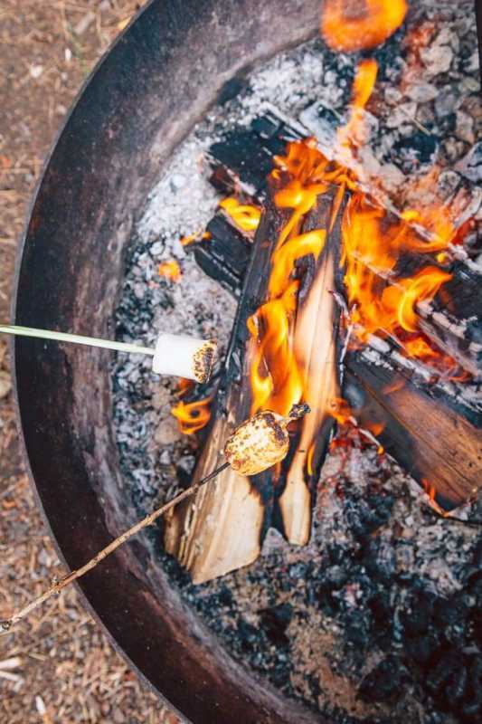Marshmallow prăjită peste un foc de tabără