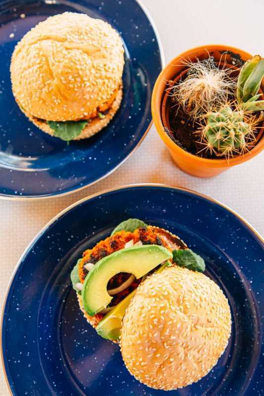 Dva burgerja na modrih krožnikih in kaktus v lončku