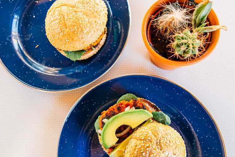 Dwa hamburgery na niebieskich talerzach i kaktus w doniczce