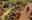 ‘ఏజ్ ఆఫ్ ఎంపైర్స్ III: డెఫినిటివ్ ఎడిషన్’: రియల్ టైమ్ స్ట్రాటజీ అభిమానులు తనిఖీ చేయవలసిన విలువైన రీమేక్