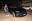 أنفق Kartik Aaryan 4.5 كرون روبية ضخمة على علامته التجارية الإيطالية الجديدة ذات السرعة الغريبة