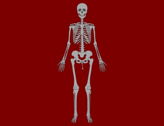 Jeste li se ikad zapitali zašto je vaša kost bez kostiju? Ovo je razlog
