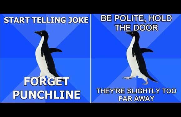 Memes populares en Internet - Pingüino socialmente incómodo