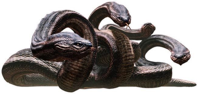 El cuento del Thlen. La Serpiente Demonio de Meghalaya