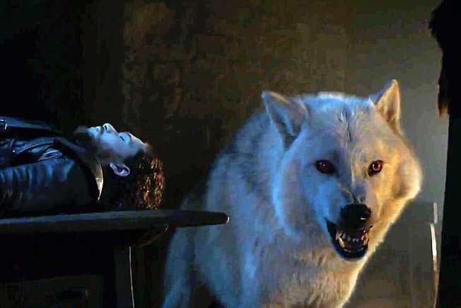 Albino Arctic Wolf, ki je igral Duha, je minilo