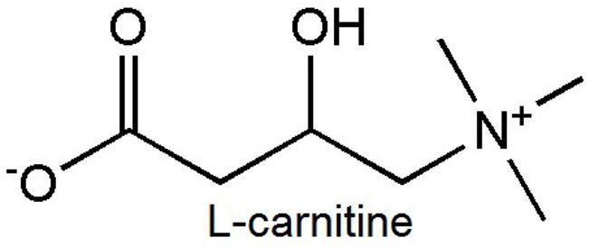 L-Carnitine có phải là chất đốt cháy mỡ thừa mà bạn đang lãng phí tiền của mình không?